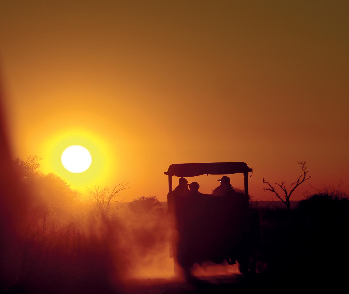 Madikwe Hills Photographic Safaris